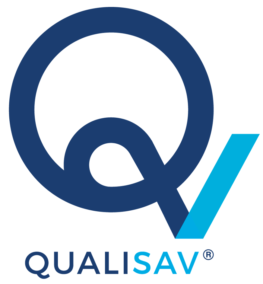 Web 5 LOGO QSV Generique fond transparent